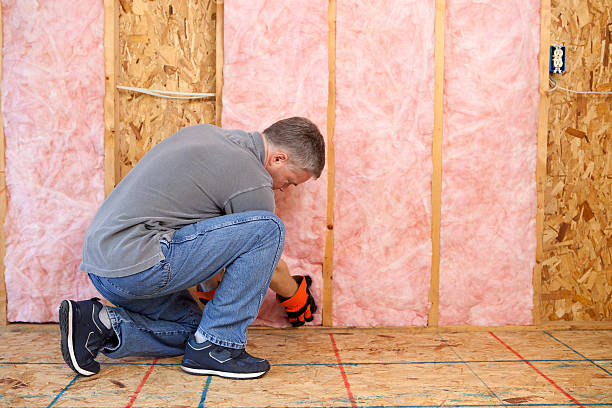 Professional Insulation Contractor in NV