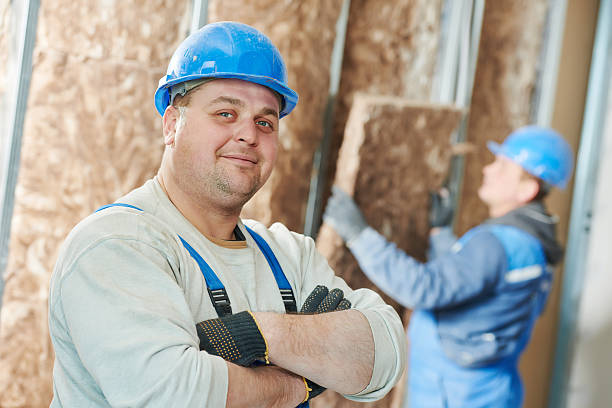 Best Residential Insulation in Sparks, NV